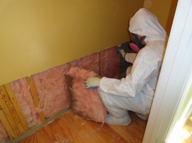 Mold Damage Remediation & Removal