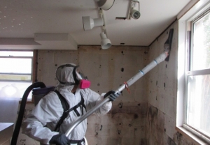 Mold Remediation & Removal
