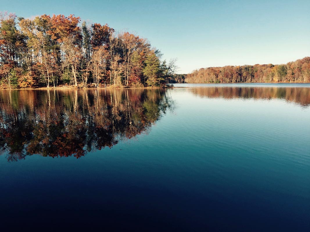 Professional Cleaning Services near me in Burke VA for water, storm and flood damage repair, sewage clean up, Mold Remediation and Removal, Fire, Smoke, and Soot Damage Restoration.